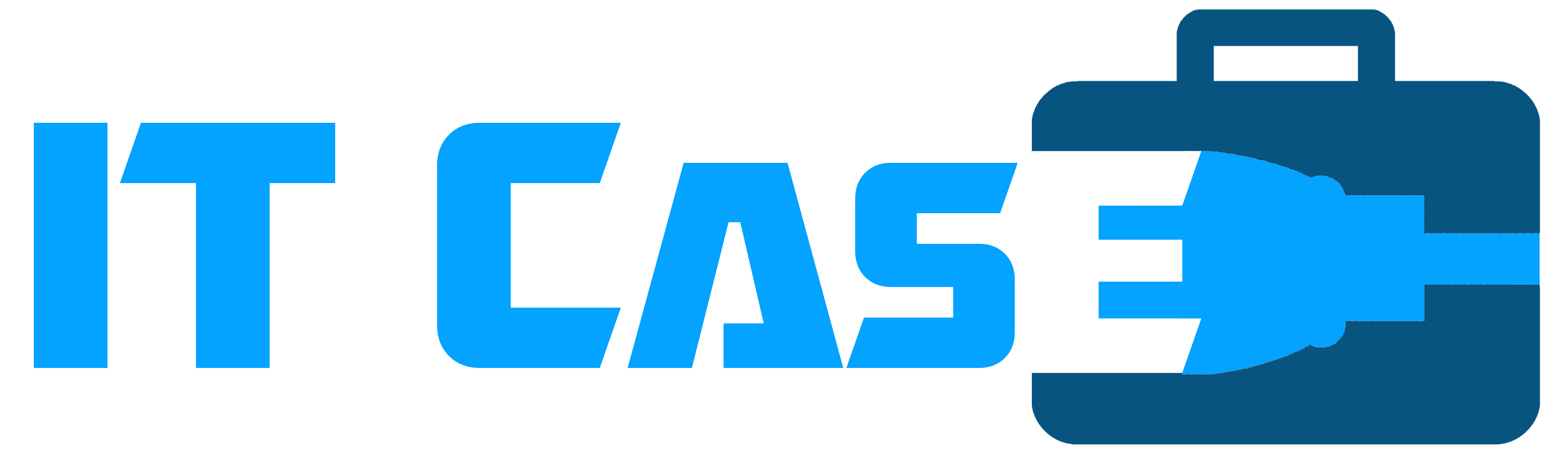 IT Case